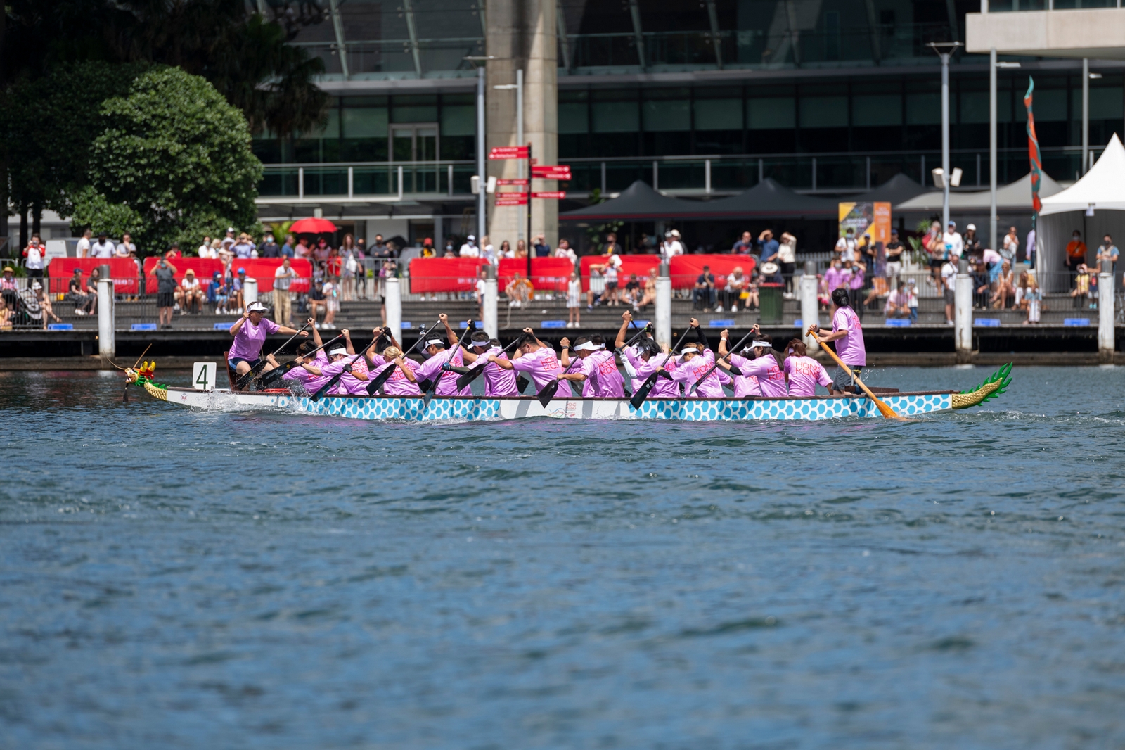 Sydney Lunar Festival Dragon Boat Races 2022