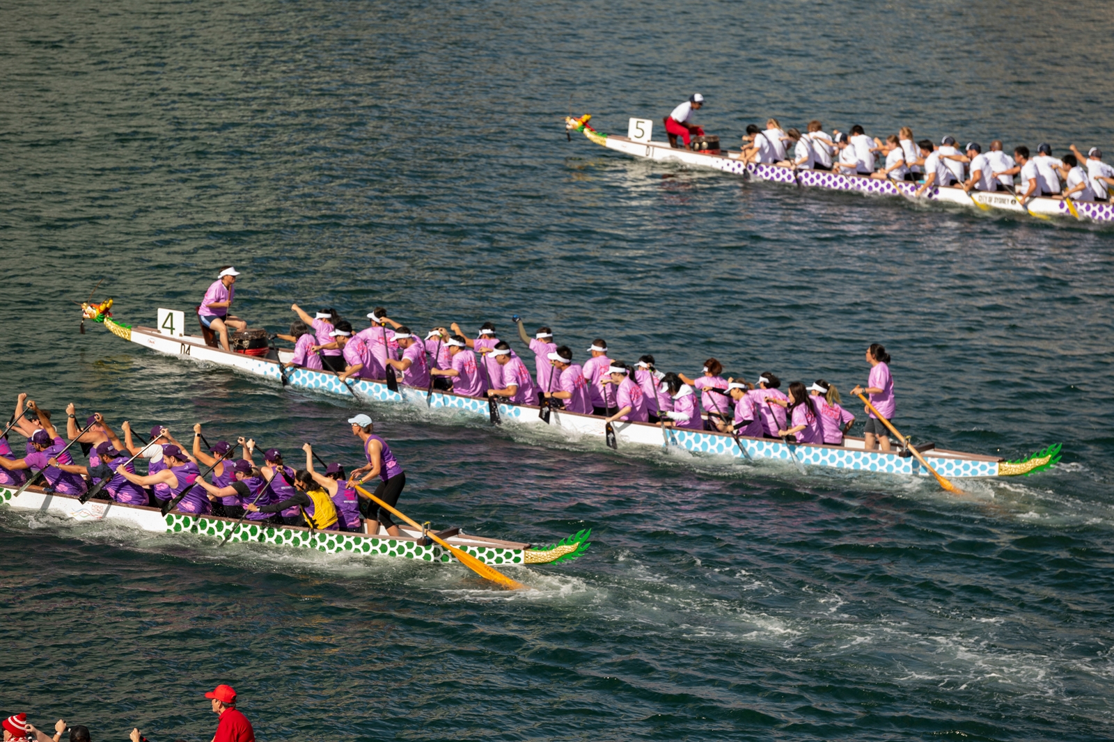 Sydney Lunar Festival Dragon Boat Races 2022