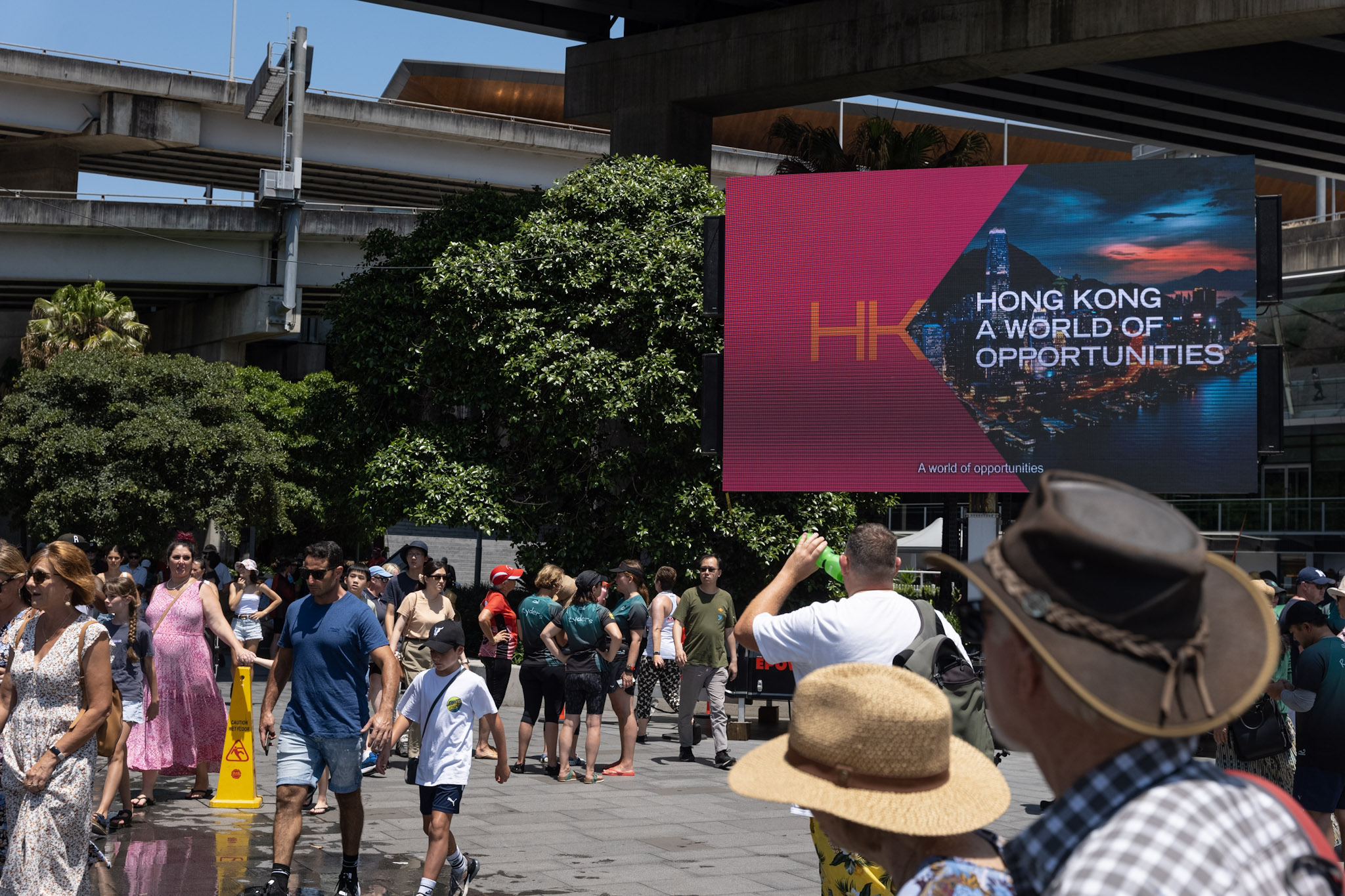 Sydney Lunar Festival Dragon Boat Races 2023 