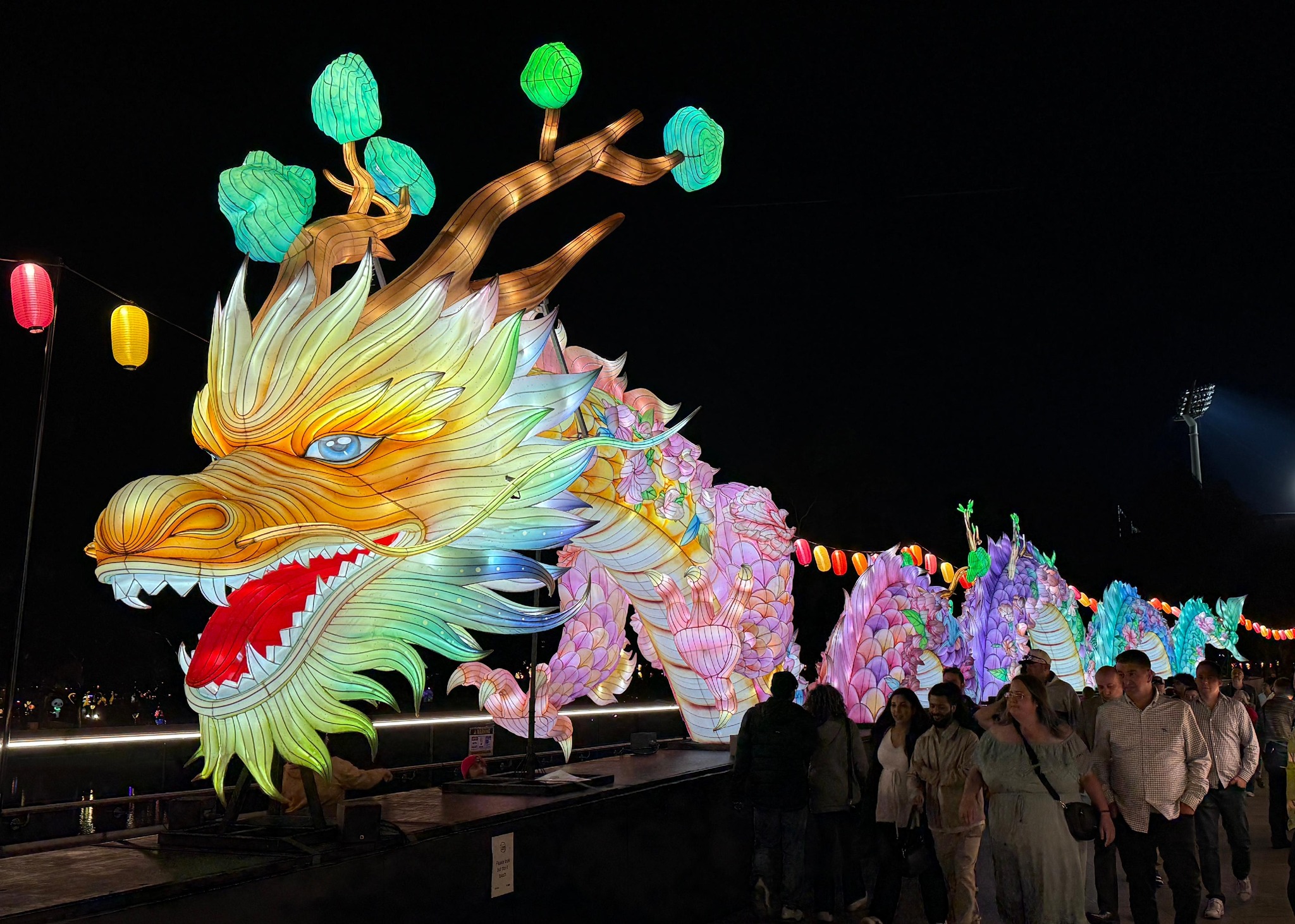 Hong Kong Dragon shines bright at OzAsia Festival